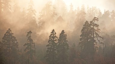 photo-13